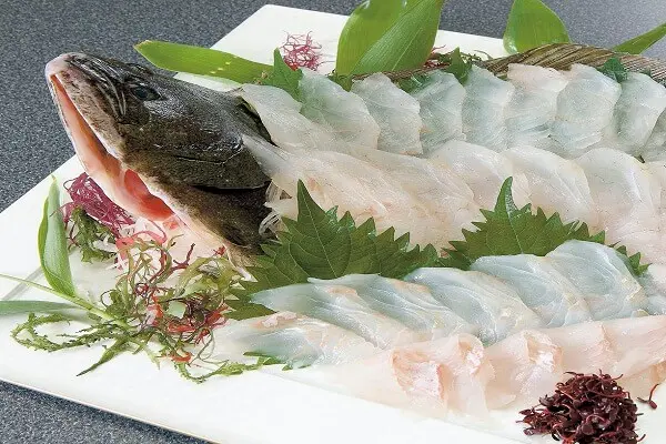 Cá Bơn Sashimi