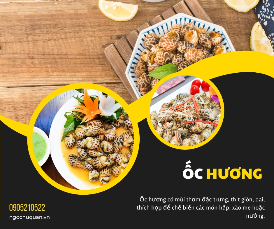 Ốc Hương tại Ngọc Nữ Quán